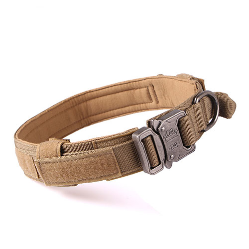 nylon tactical dog collar